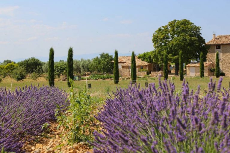 Beautiful in Provence