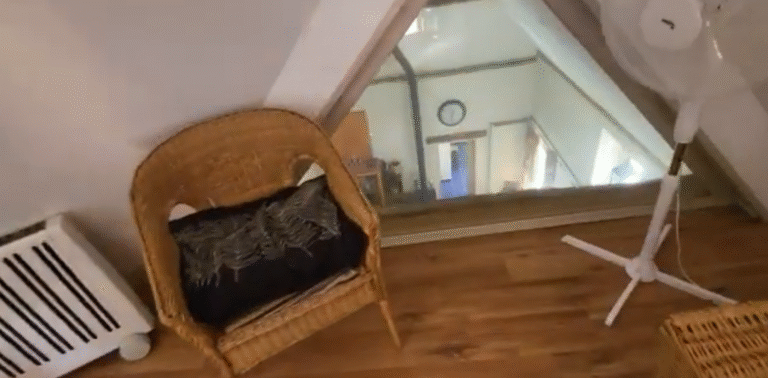 Screenshot 2025 10 03 at 16 54 18 Video details YouTube Studio Country home in Normandy