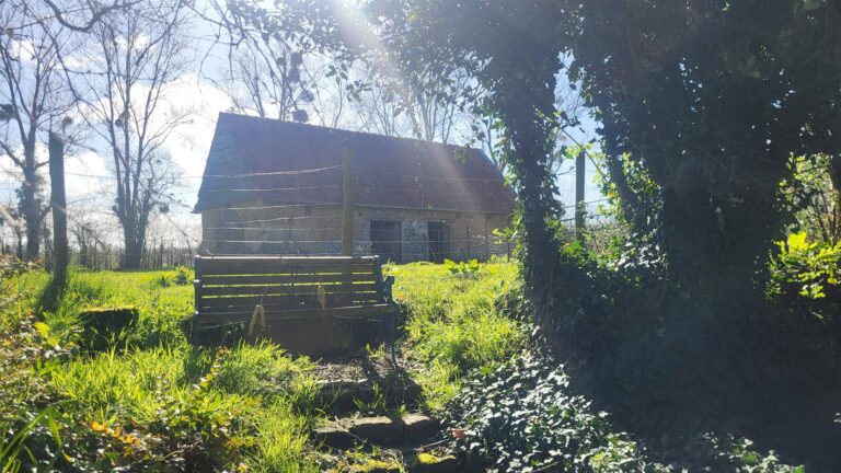 659087387 10241194975602396 885393704277125366 n Detached house with substantial outbuilding