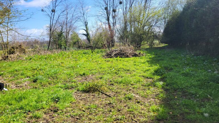 659131521 10241194968802226 4029033446921518047 n Detached house with substantial outbuilding