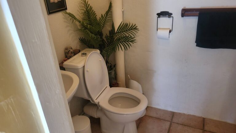 660430080 10241195021963555 3883650073586443518 n Detached house with substantial outbuilding