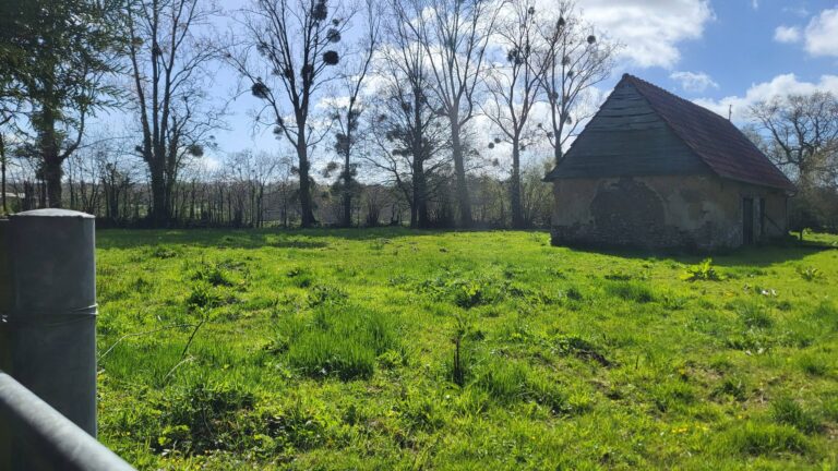 660497198 10241194967522194 6625501441602807304 n Detached house with substantial outbuilding